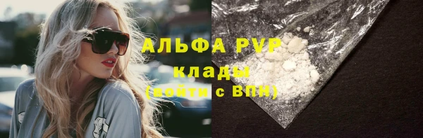 соль ск Ельня