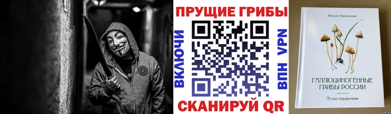 Галлюциногенные грибы MAGIC MUSHROOMS  цены наркотик  Малая Вишера 